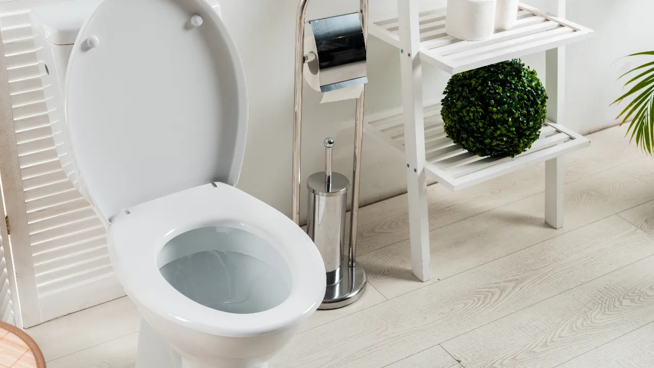 sensor in your toilet tests your pee to measure health